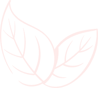 newsletter-shape-2-3